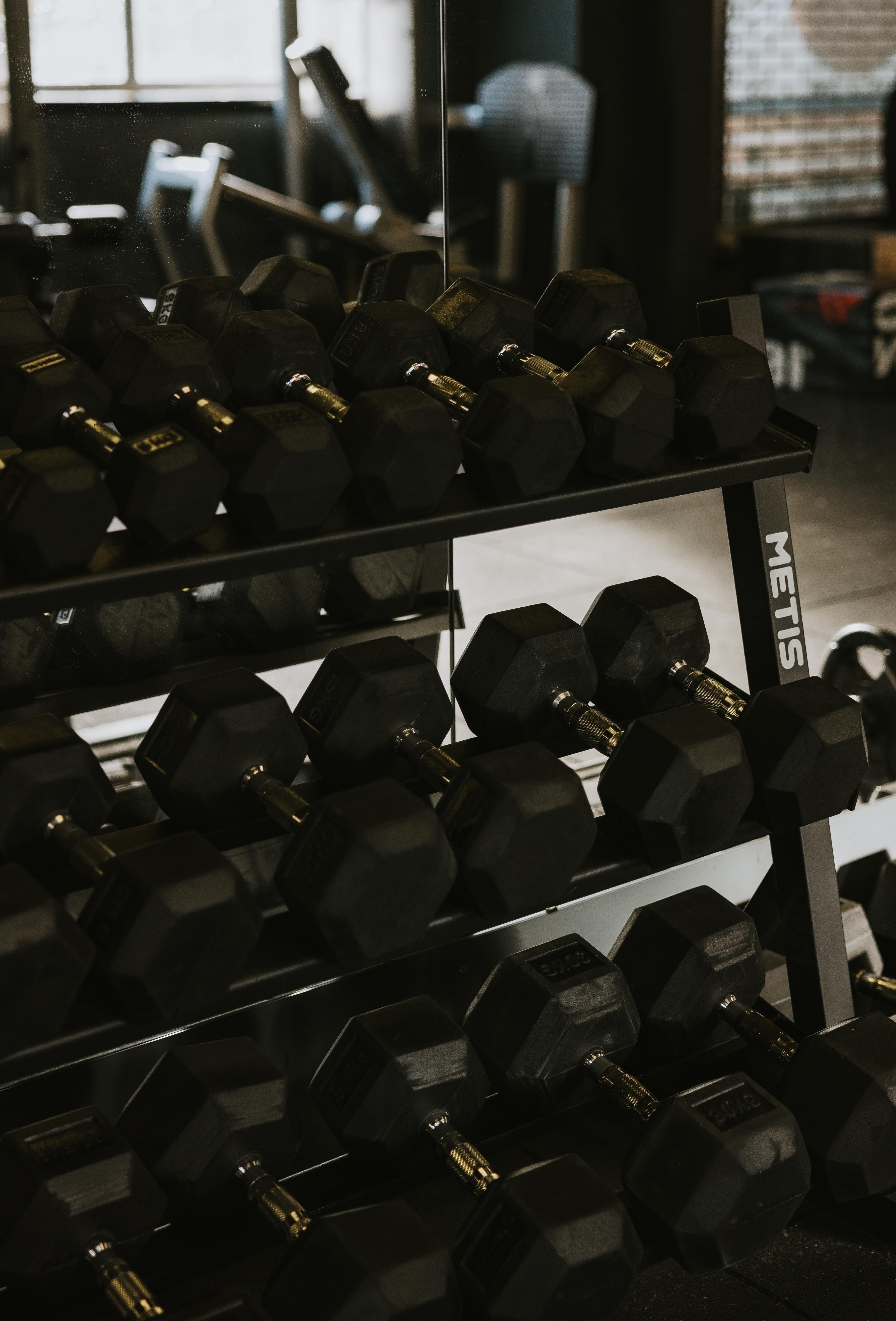 Well-organized weights rack at T2 gym